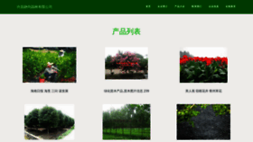 What Zhjingshang.com website looks like in 2024 