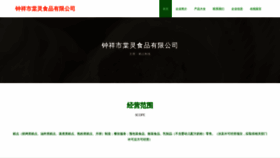 What Zhitang001.com website looks like in 2024 