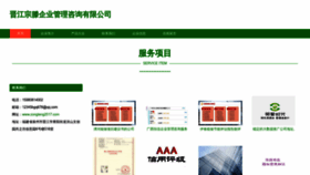 What Zongteng2017.com website looks like in 2024 