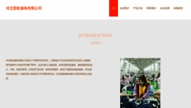 What Zhongjiniot.com website looks like in 2024 