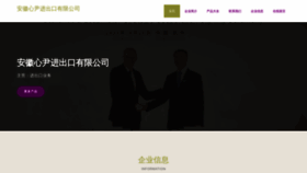 What Zgxinyin.com website looks like in 2024 