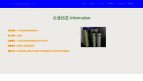 What Zgyuanbao.com website looks like in 2024 