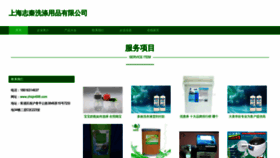 What Zhiqin688.com website looks like in 2024 