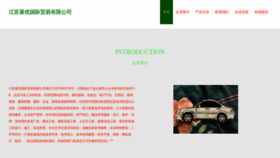 What Zhanyouwangluo.com website looks like in 2024 