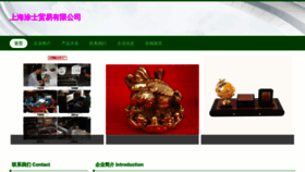 What Zhituishi.com website looks like in 2024 