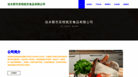 What Zhongzhuanzs.com website looks like in 2024 