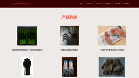 What Zhuanxingqiu.com website looks like in 2024 