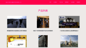 What Zzhuajie.com website looks like in 2024 
