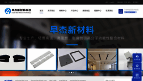 What Zaojie.cc website looks like in 2024 