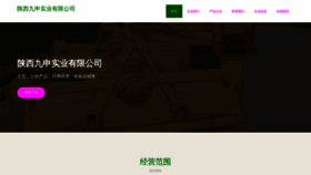 What Zgjiushen.com website looks like in 2024 