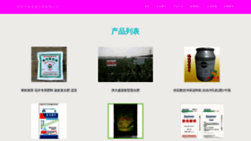 What Zgzhengdao.com website looks like in 2024 