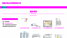 What Zhongyusulite.com website looks like in 2024 