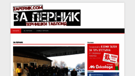 What Zapernik.com website looks like in 2024 