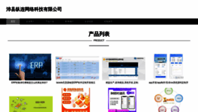 What Zonglianwangluo.com website looks like in 2024 