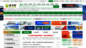 What Zyzhan.com website looks like in 2024 