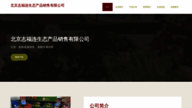 What Zfulian.com website looks like in 2024 