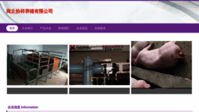 What Zhaowentoutiao.com website looks like in 2024 