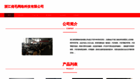 What Zjlaomao.com website looks like in 2024 
