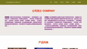 What Zhiyongart.com website looks like in 2024 