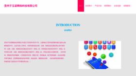 What Ziyuno2o.com website looks like in 2024 
