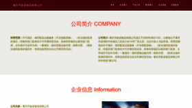 What Zounokl.cn website looks like in 2024 