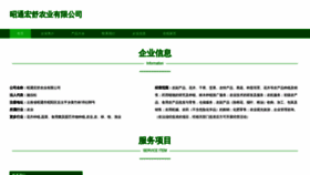 What Ztbnbjz.cn website looks like in 2024 