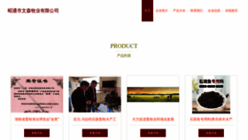 What Ztwesnx.cn website looks like in 2024 