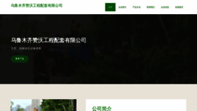 What Zwzan.cn website looks like in 2024 