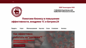 What Zubr-1c.ru website looks like in 2024 