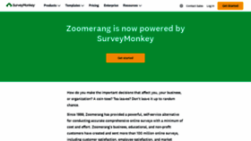 What Zoomerang.com website looks like in 2024 
