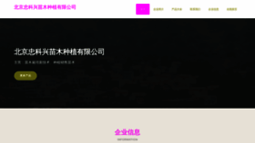 What Zhongyekid.com website looks like in 2024 