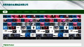 What Zeyieqk.cn website looks like in 2024 