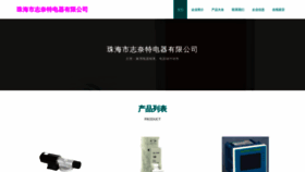 What Zhanzhinet.cn website looks like in 2024 
